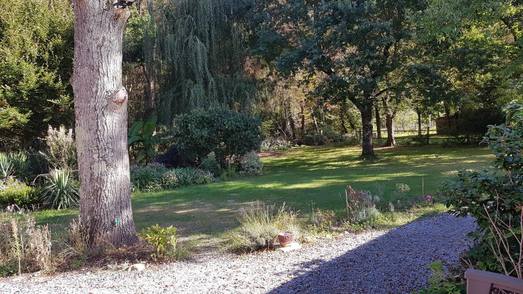 לינה וארוחת בוקר Saint-Romain-sur-Cher Domaine De Sahil מראה חיצוני תמונה